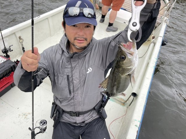 シーバス(スズキ)