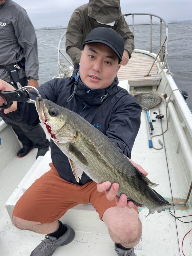 シーバス(スズキ)