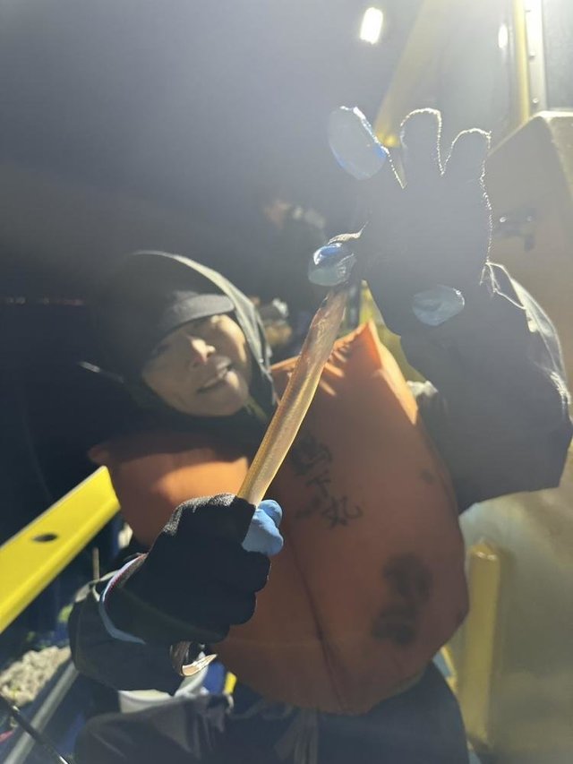 アナゴ(マアナゴ)