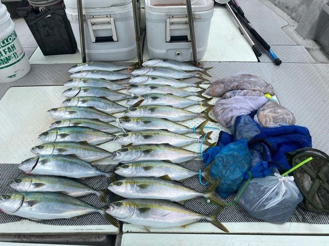 ハマチ(ブリ)・タコ(マダコ)