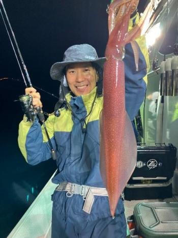 マイカ(ケンサキイカ)