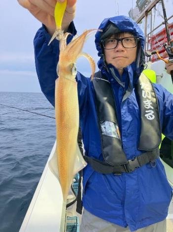 マイカ(ケンサキイカ)