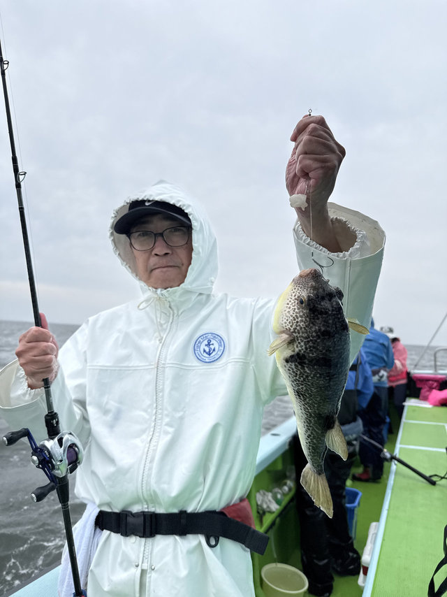 フグ(ショウサイフグ)