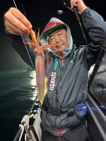 マイカ(ケンサキイカ)