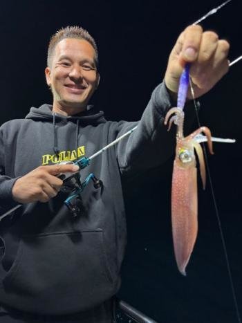 マイカ(ケンサキイカ)