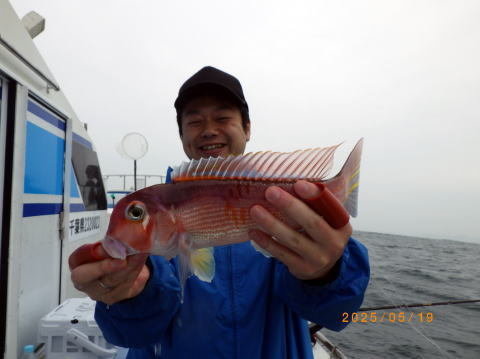 アマダイ(アカアマダイ)