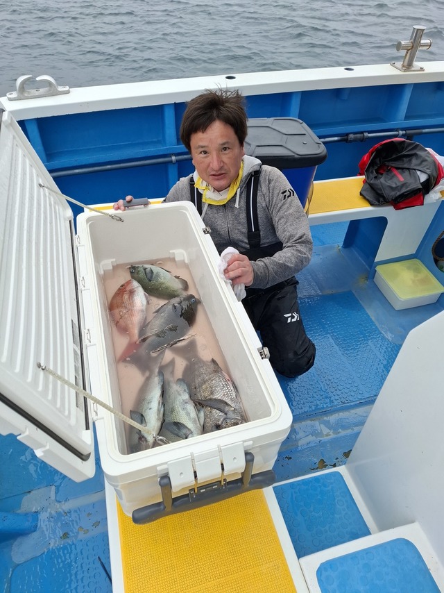 マダイ・クロダイ・メジナ