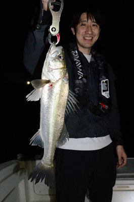 シーバス(スズキ)