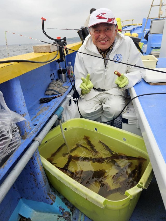 ムギイカ(スルメイカ)