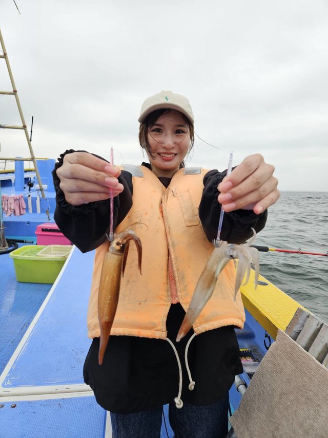 ムギイカ(スルメイカ)