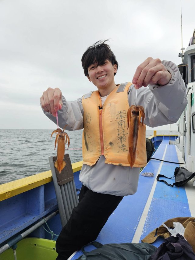 ムギイカ(スルメイカ)