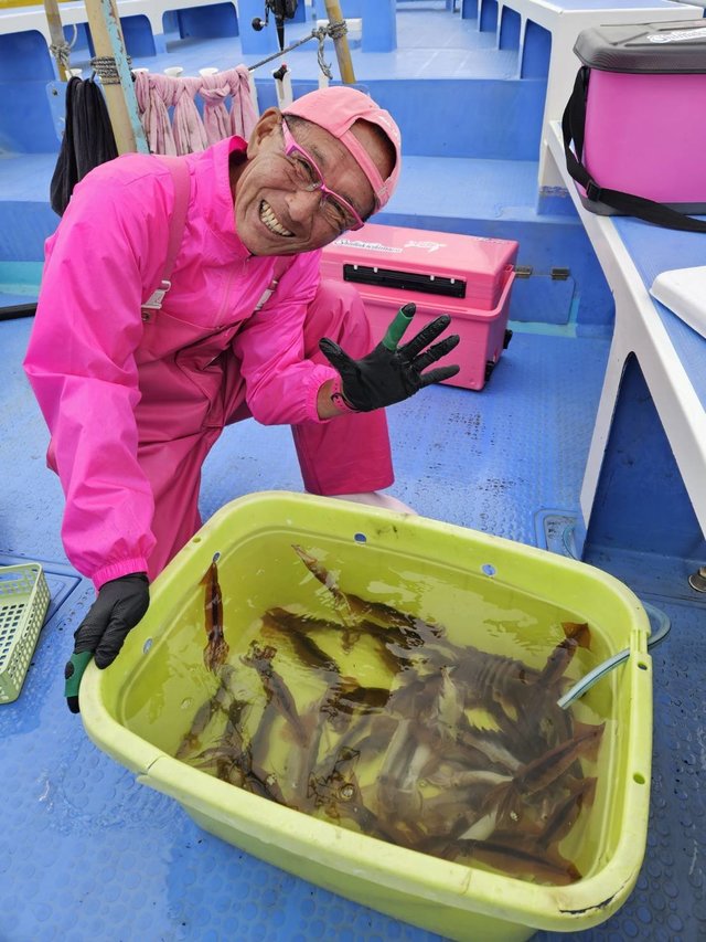 ムギイカ(スルメイカ)