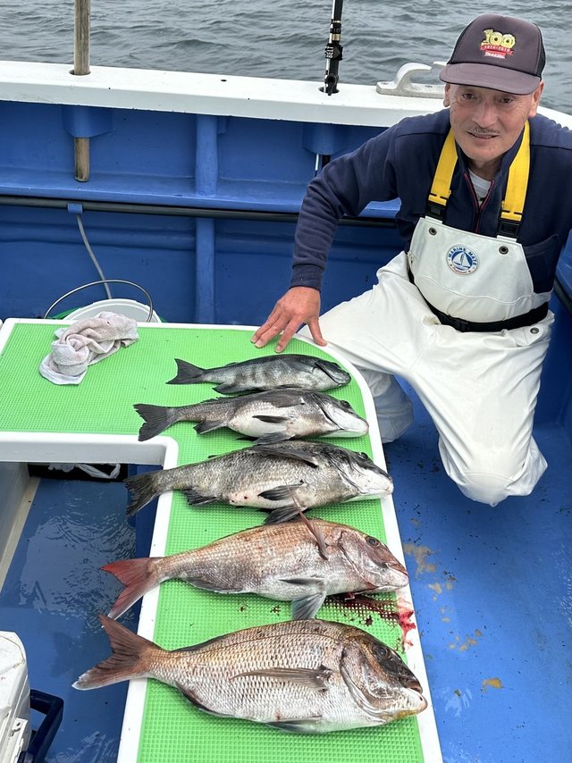 マダイ・クロダイ・メジナ