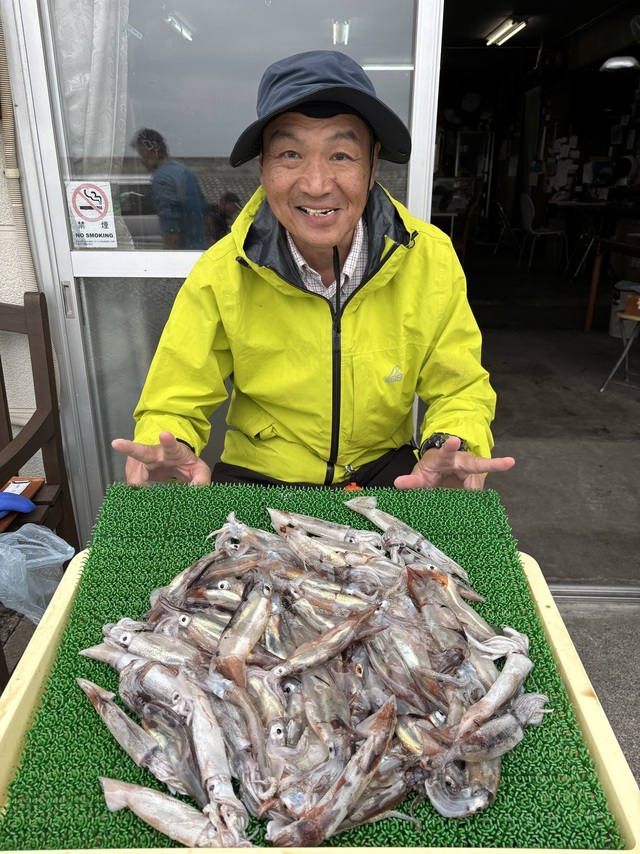 ムギイカ(スルメイカ)