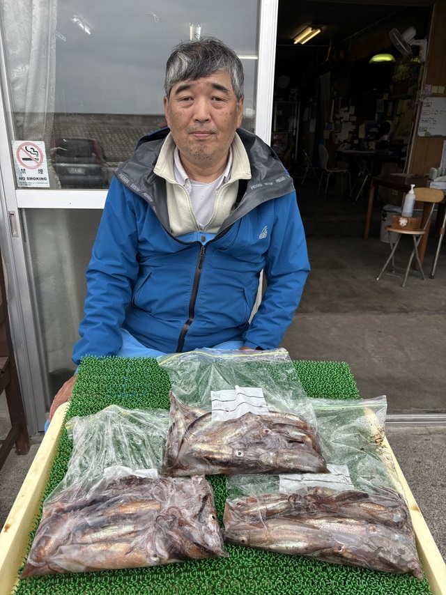 ムギイカ(スルメイカ)