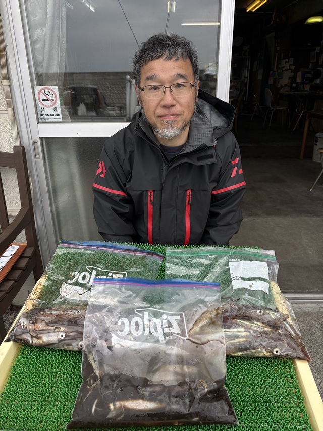 ムギイカ(スルメイカ)