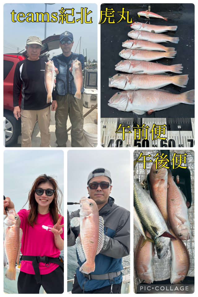 シロアマダイ・サバ(マサバ)