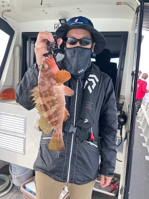 アコウ(キジハタ)