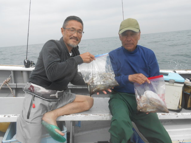 ムギイカ(スルメイカ)