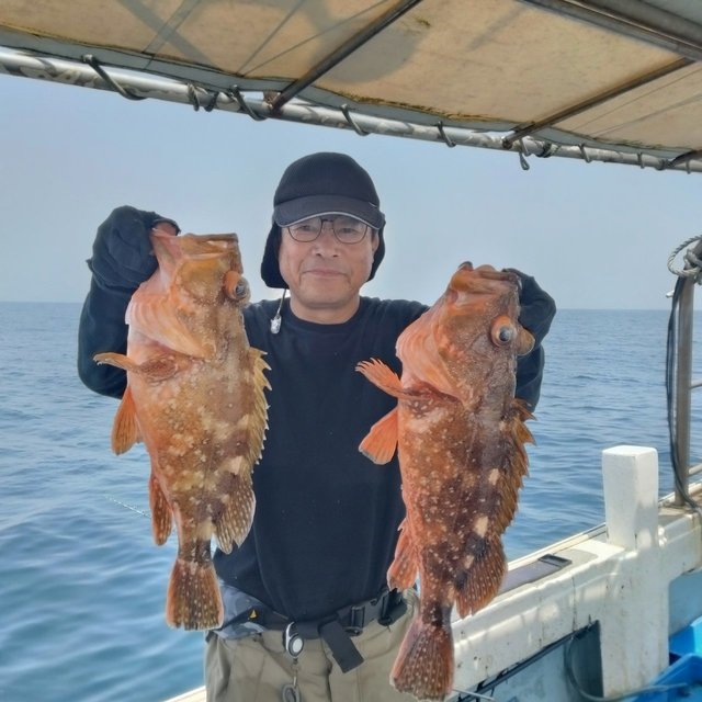 ボッコ(カサゴ)