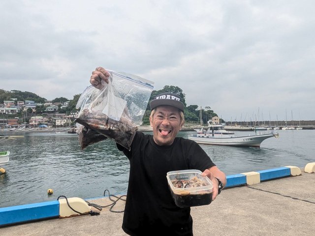 ムギイカ(スルメイカ)