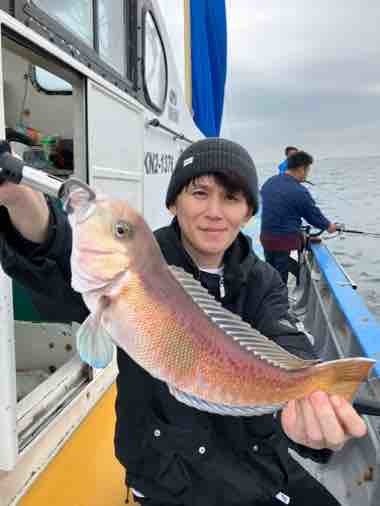 アマダイ(アカアマダイ)