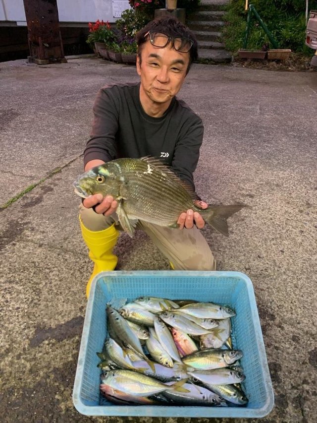 ヘダイ・アジ(マアジ)