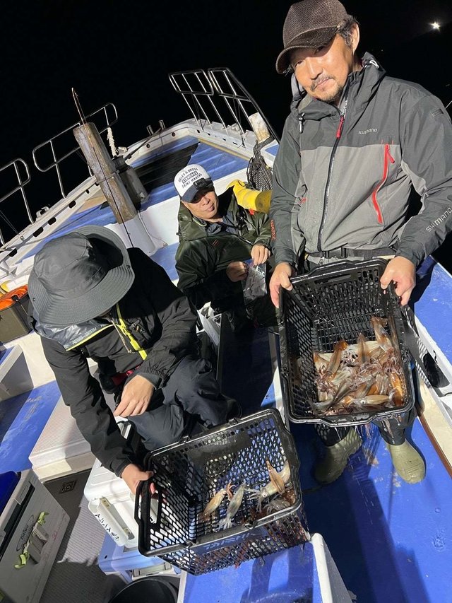 ムギイカ(スルメイカ)