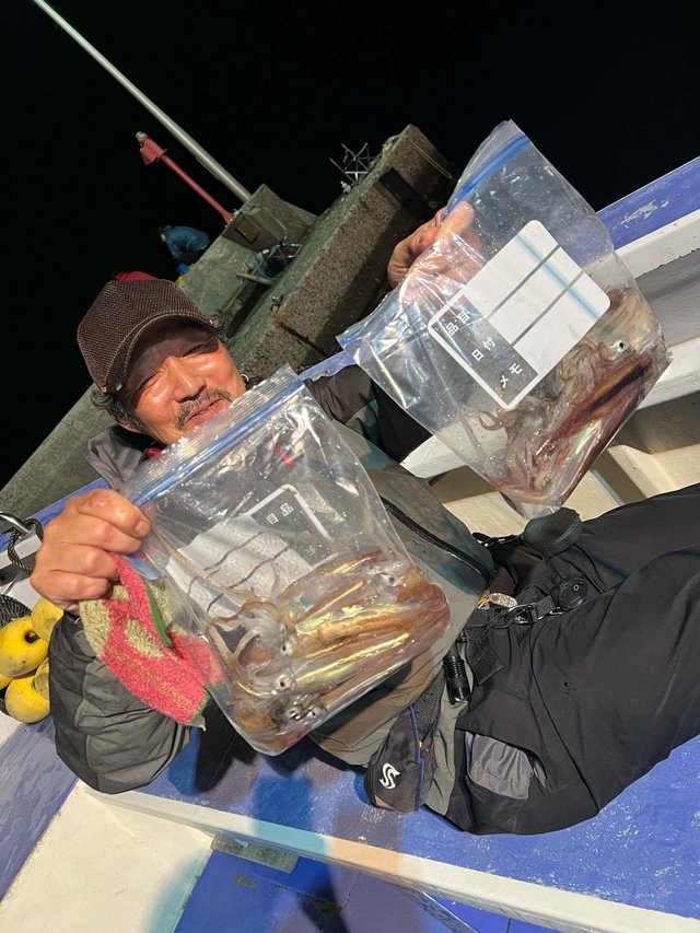 ムギイカ(スルメイカ)