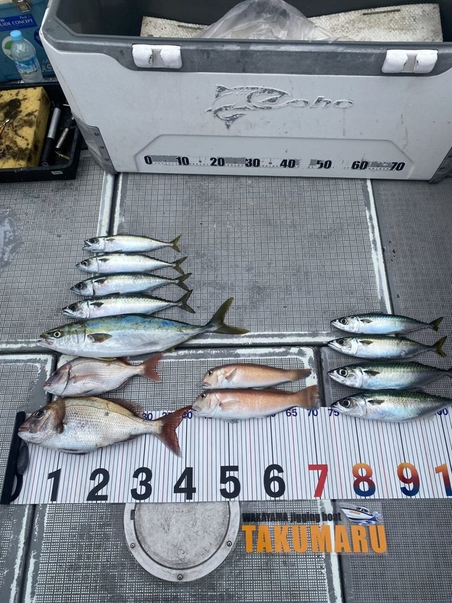 マダイ・ハマチ(ブリ)・アマダイ(アカアマダイ)・サバ(ゴマサバ)