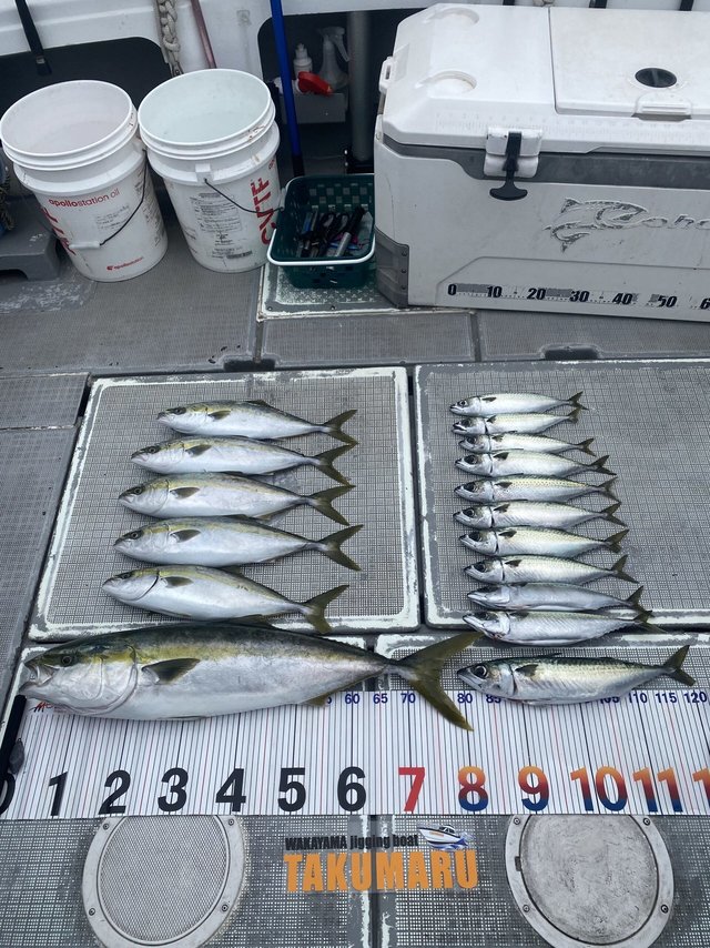 ブリ・ハマチ(ブリ)・サバ(ゴマサバ)