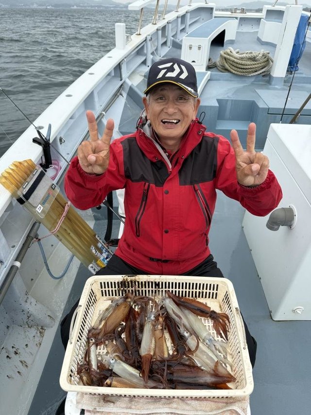 ムギイカ(スルメイカ)