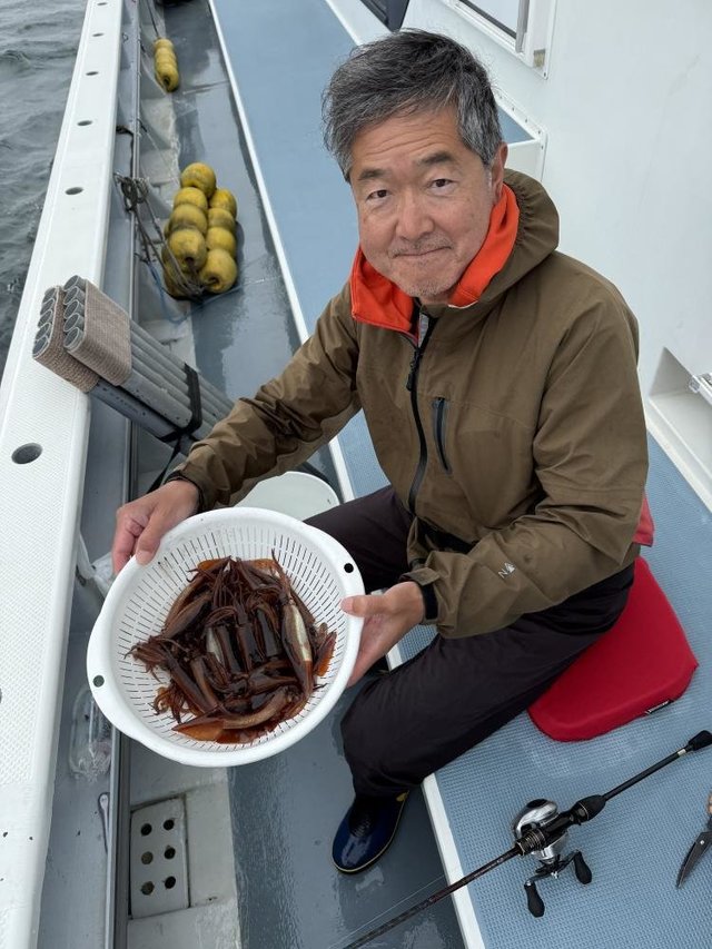 ムギイカ(スルメイカ)