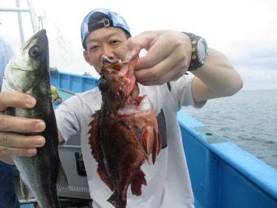 カサゴ・サバ(ゴマサバ)