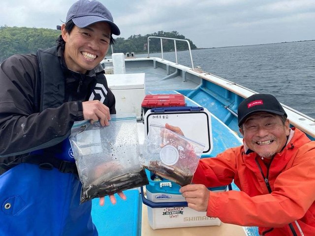 ムギイカ(スルメイカ)