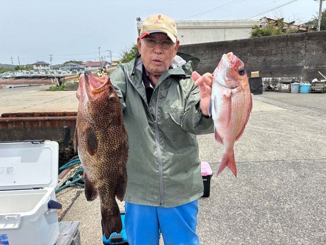 マダイ・ハタ(マハタ)