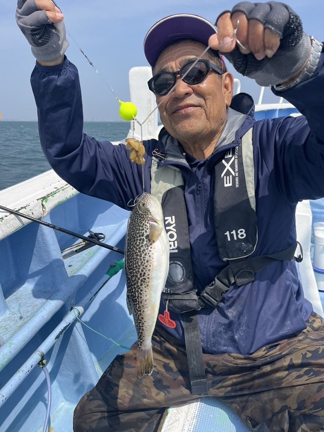 ショウサイフグ