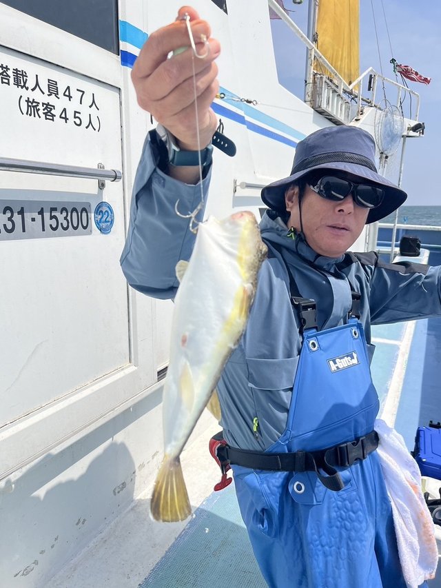 ショウサイフグ