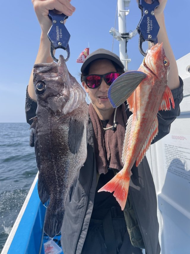 マゾイ(キツネメバル)