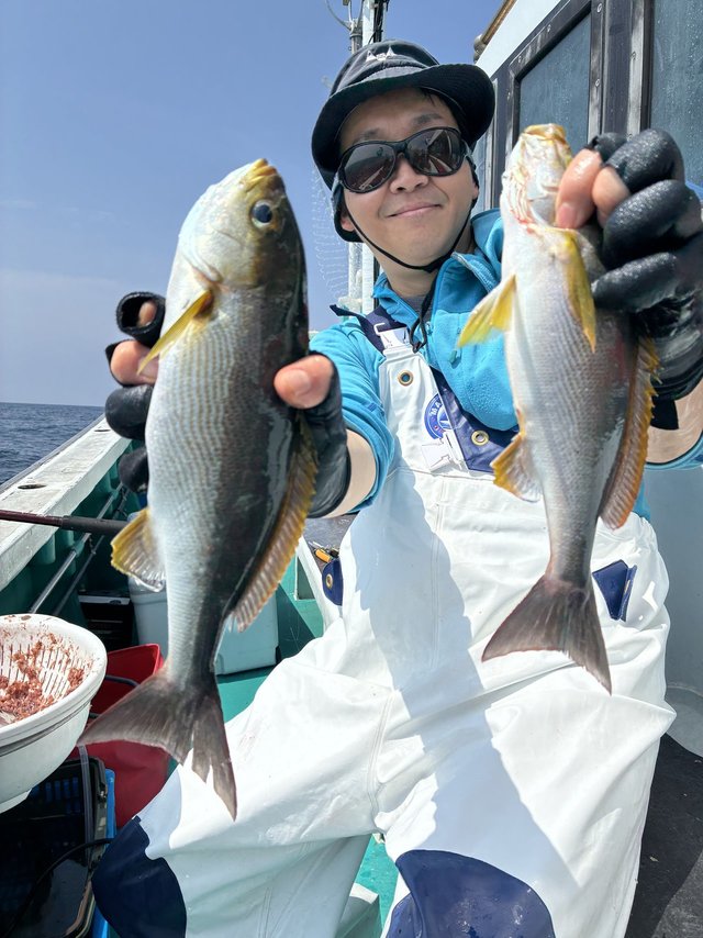 イサギ(イサキ)