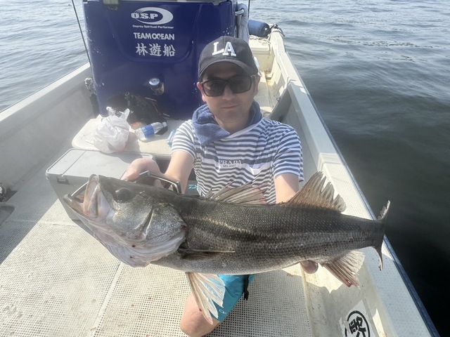 シーバス(スズキ)