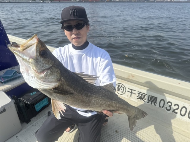 シーバス(スズキ)