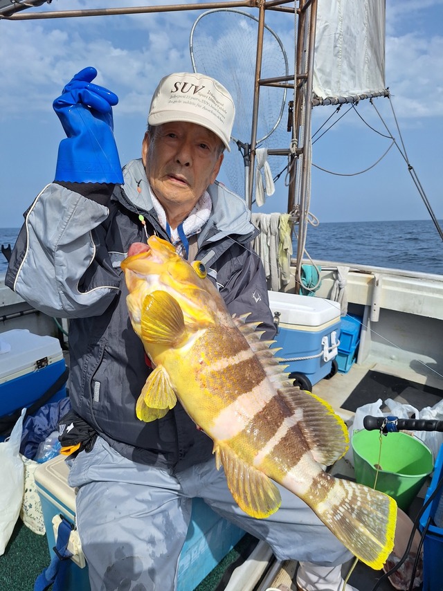 アオナ(アオハタ)