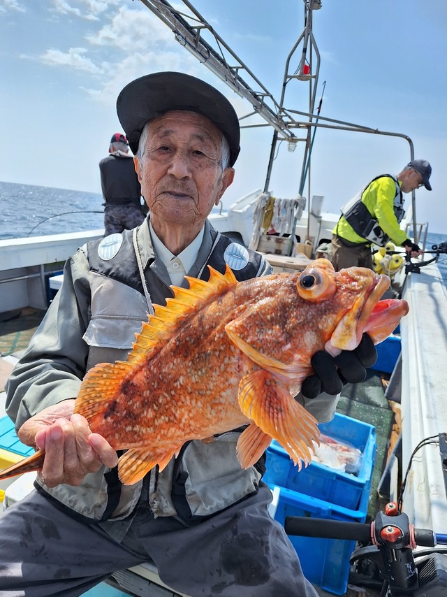 アラカブ(カサゴ)