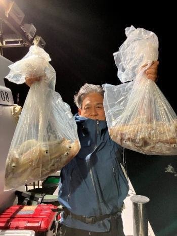 スルメイカ・マイカ(ケンサキイカ)