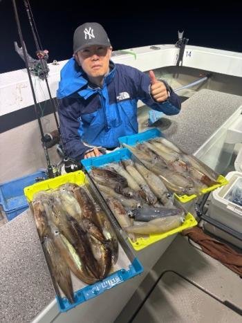 マイカ(ケンサキイカ)