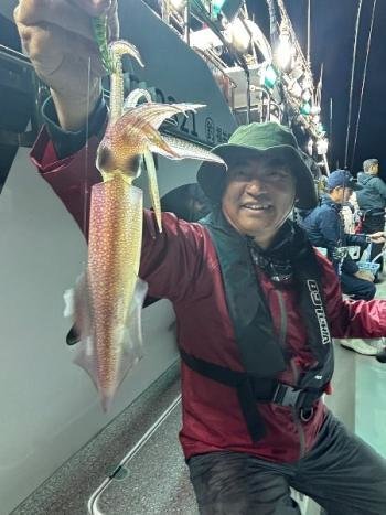 マイカ(ケンサキイカ)