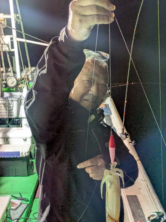 イカ(ケンサキイカ)