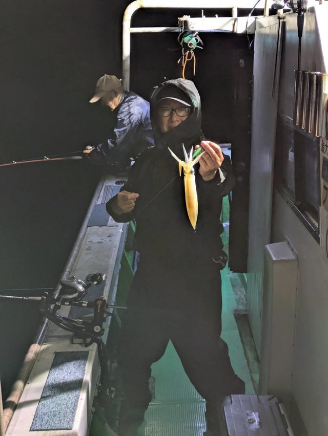 イカ(ケンサキイカ)