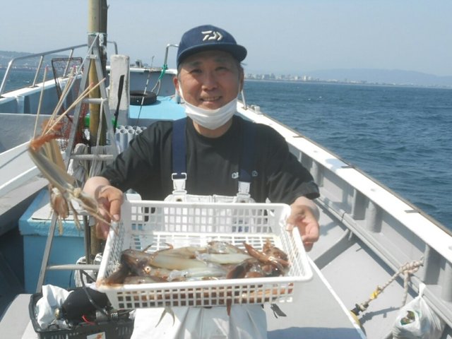 ムギイカ(スルメイカ)